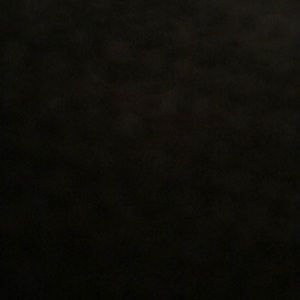 Meet your Posher, Pat